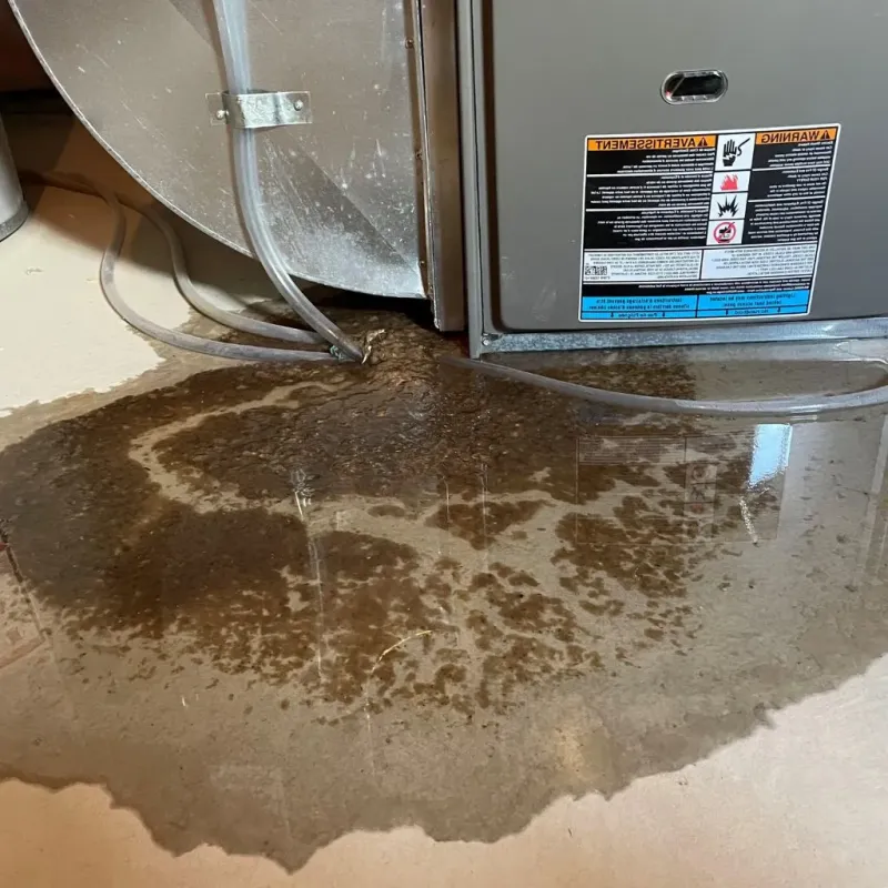 Pipe Burst and Leak Restoration in East Conemaugh, PA